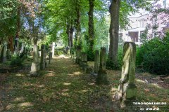 Juedischer-Friedhof-Stadt-Norden-6.8.2022-16