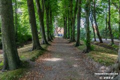 Juedischer-Friedhof-Stadt-Norden-7.8.2022-6