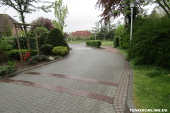 Kiefernweg-Norden-29.4.2019-1