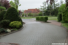 Kiefernweg-Norden-29.4.2019-2