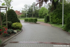 Kiefernweg-Norden-29.4.2019-5