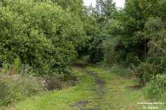 Kiessee-Grossheide-22.6.2024-3