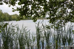 Kiessee-Grossheide-22.6.2024-8