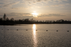 Kiessee-Großheide-Januar-2020-26.1.2020-16