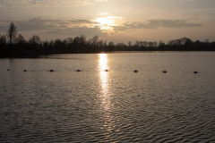Kiessee-Großheide-Januar-2020-26.1.2020-18