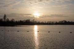 Kiessee-Großheide-Januar-2020-26.1.2020-16