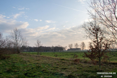 Kiessee-Großheide-Januar-2020-26.1.2020-5
