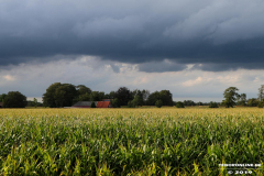 Kiessee-großheide-Freizeitanlage-Doornkaatsweg-17.8.2019-27