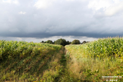 Kiessee-großheide-Freizeitanlage-Doornkaatsweg-17.8.2019-31