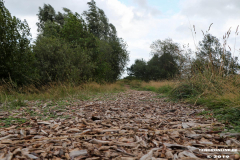 Kiessee-großheide-Freizeitanlage-Doornkaatsweg-17.8.2019-7