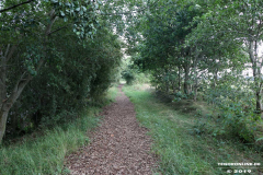 Kiessee-großheide-Freizeitanlage-Doornkaatsweg-17.8.2019-9