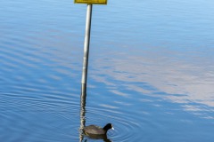 Kiessee-Berum-Hage-1.3.2024-16