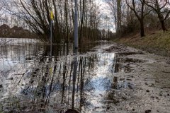 Kiessee-Berum-Hage-1.3.2024-4