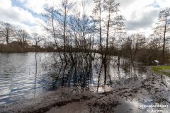 Kiessee-Berum-Hage-UW-1.3.2024-5