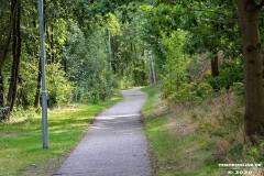 Kiessee-Hage-Berum-12.9.2020-11