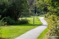 Kiessee-Hage-Berum-12.9.2020-14