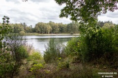 Kiessee-Hage-Berum-12.9.2020-29