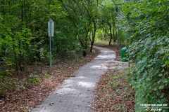 Kiessee-Hage-Berum-12.9.2020-30