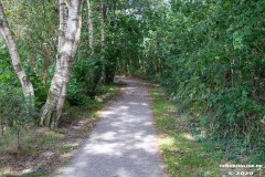 Kiessee-Hage-Berum-12.9.2020-45