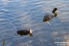 Kiessee-Kurpark-Berum-Hage-Ostfriesland-4.6.2023-11