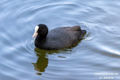 Kiessee-Kurpark-Berum-Hage-Ostfriesland-4.6.2023-12