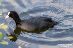 Kiessee-Kurpark-Berum-Hage-Ostfriesland-4.6.2023-14