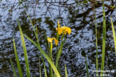 Kiessee-Kurpark-Berum-Hage-Ostfriesland-4.6.2023-18