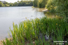 Kiessee-Kurpark-Berum-Hage-Ostfriesland-4.6.2023-25