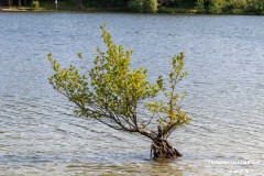 Kiessee-Kurpark-Berum-Hage-Ostfriesland-4.6.2023-37