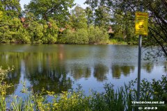 Kiessee-Kurpark-Berum-Hage-Ostfriesland-4.6.2023-4