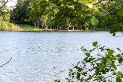 Kiessee-Kurpark-Berum-Hage-Ostfriesland-4.6.2023-44