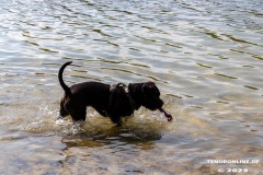 Kiessee-Kurpark-Berum-Hage-Ostfriesland-4.6.2023-63