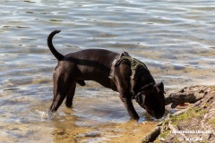 Kiessee-Kurpark-Berum-Hage-Ostfriesland-4.6.2023-64