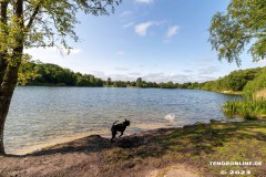 Kiessee-Kurpark-Berum-Hage-Ostfriesland-4.6.2023-70