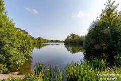 Kiessee-Kurpark-Berum-Hage-Ostfriesland-4.6.2023-89