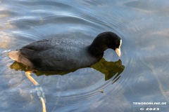 Kiessee-Kurpark-Berum-Hage-Ostfriesland-4.6.2023-9