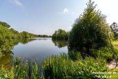 Kiessee-Kurpark-Berum-Hage-Ostfriesland-4.6.2023-91