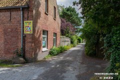 Natur-Kinder-Werkstatt-Kleine-Hinterlohne-Stadt-Norden-8.8.2022-4