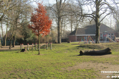 Linteler Schule 17.2.19-3