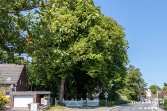 Linteler-Strasse-Stadt-Norden-15.6.2023-98