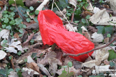 Hundekot beutel Linteler Wäldchen-Wald 17.2.19-6