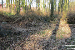 Linteler Wäldchen-Wald 17.2.19-14