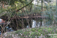 Linteler Wäldchen-Wald 17.2.19-17