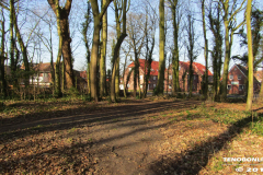 Linteler Wäldchen-Wald 17.2.19-19