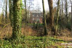 Linteler Wäldchen-Wald 17.2.19-20