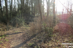 Linteler Wäldchen-Wald 17.2.19-21