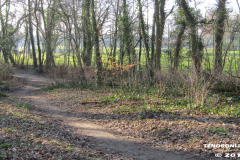 Linteler Wäldchen-Wald 17.2.19-22