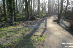 Linteler Wäldchen-Wald 17.2.19-24