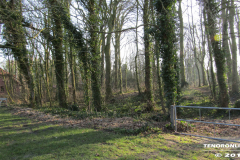 Linteler Wäldchen-Wald 17.2.19-25