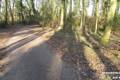 Linteler Wäldchen-Wald 17.2.19-3